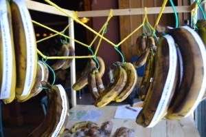 DSC_0150_zpsjwusqcfe