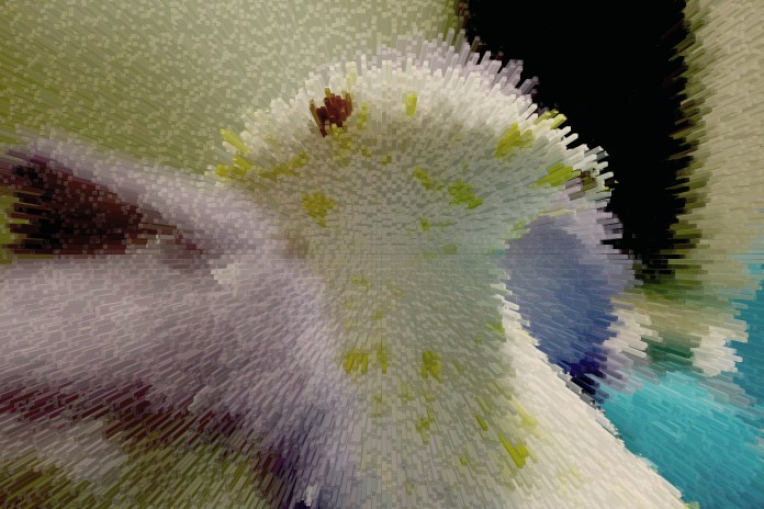 how could this happen_